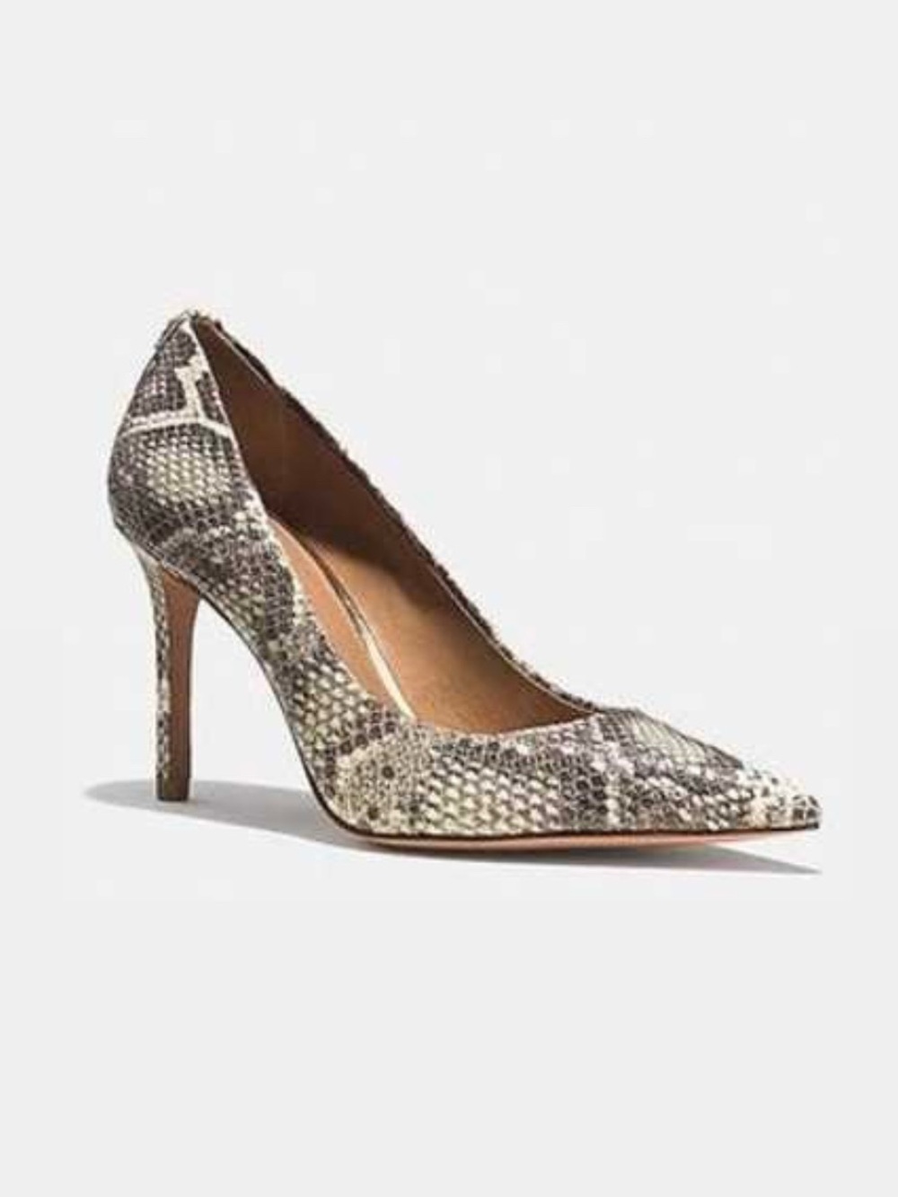 Coach Python Pumps